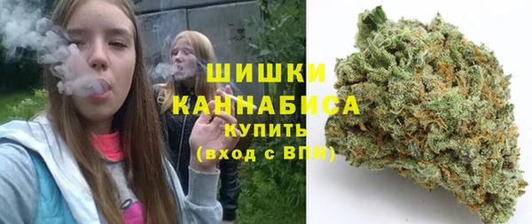 шишки Бородино